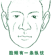 面相脸颊颚透视性格