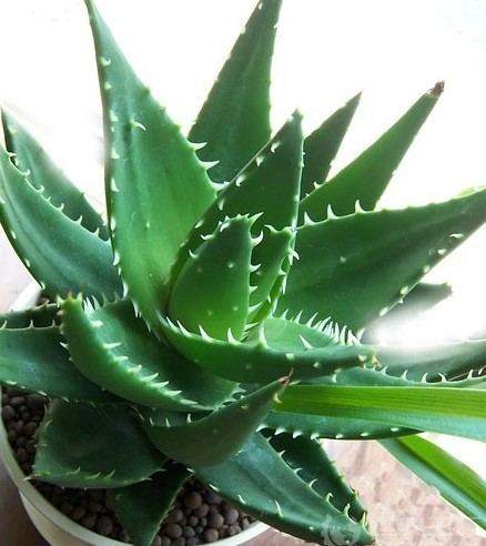 命理推测的意义是什么？